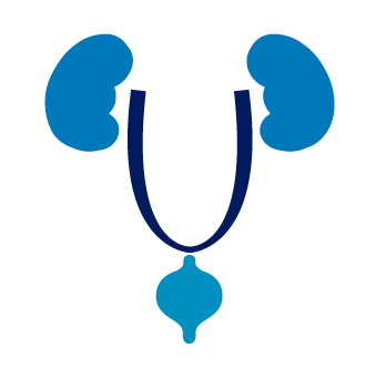 Urología Madrid